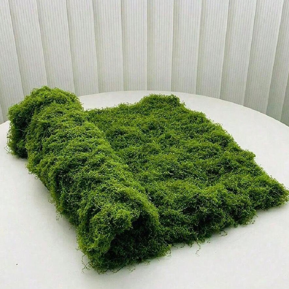 Sphagnum Moss Dry - 1*1 متر الطحلب وهمية Crafts بها
