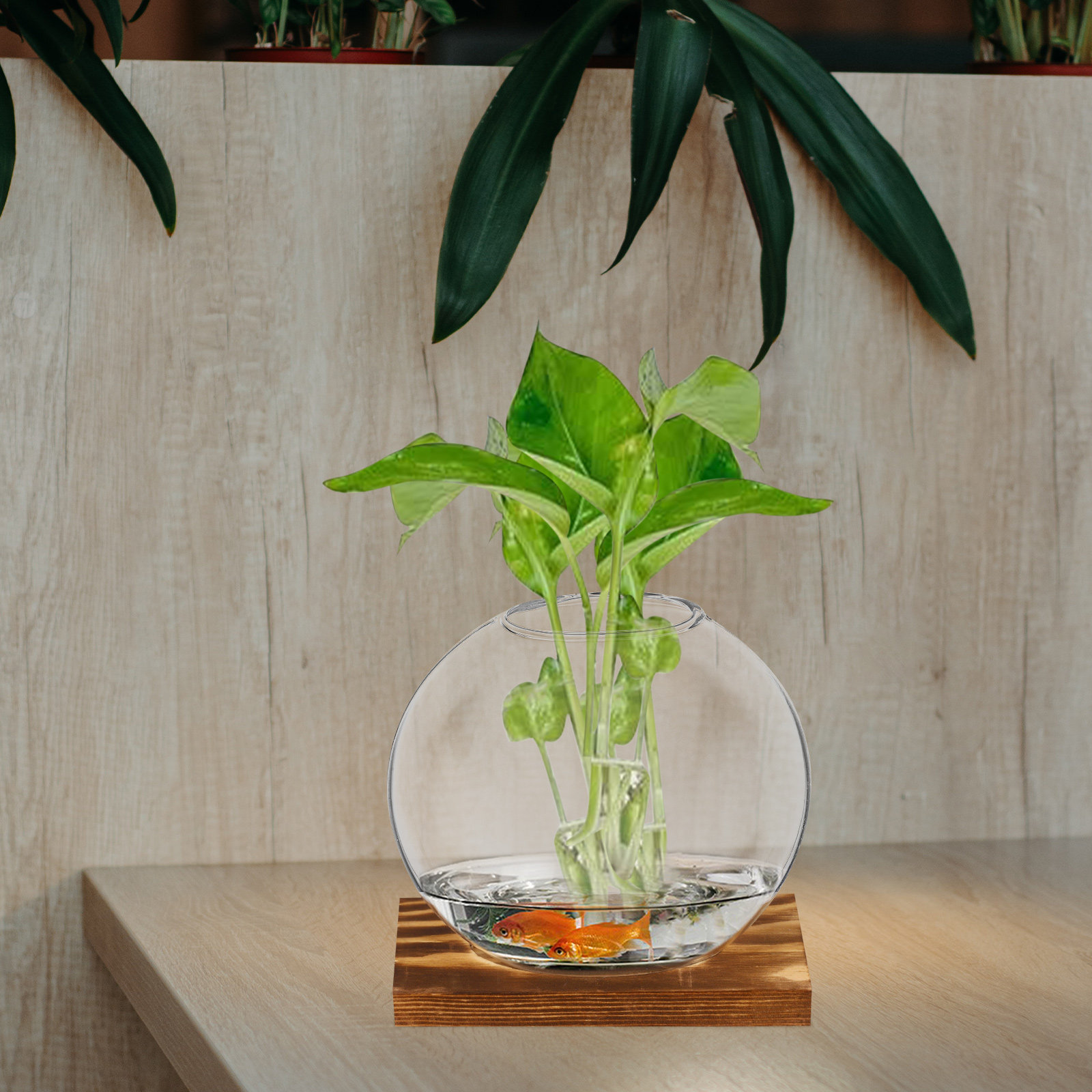 مجموعة من 2 مزهرية زجاجية صغير - مراجعة Propagation Station Vase وسعره