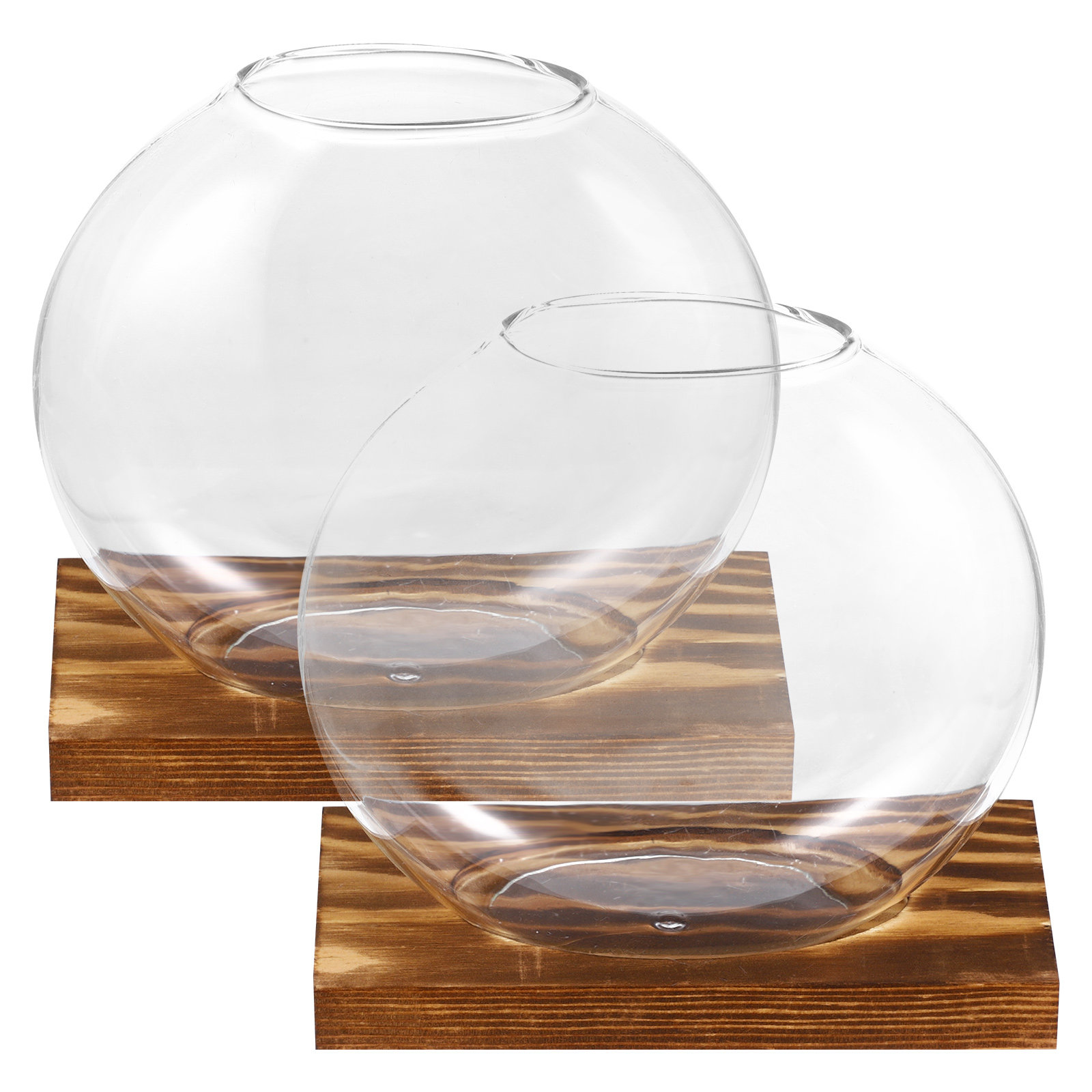 مجموعة من 2 مزهرية زجاجية صغير - مراجعة Propagation Station Vase وسعره